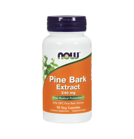 NOW Foods Pine Bark Extract 240mg 90 Kapslar